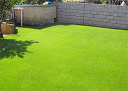 lazy lawn